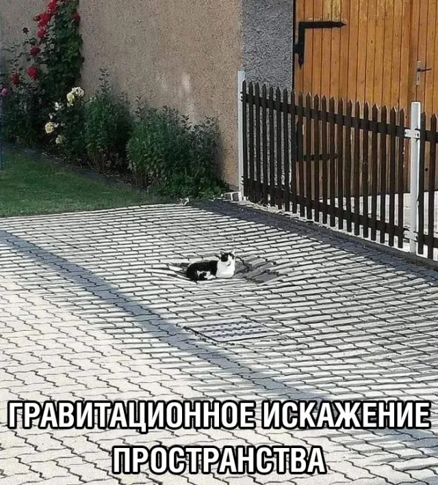 Немного картинок