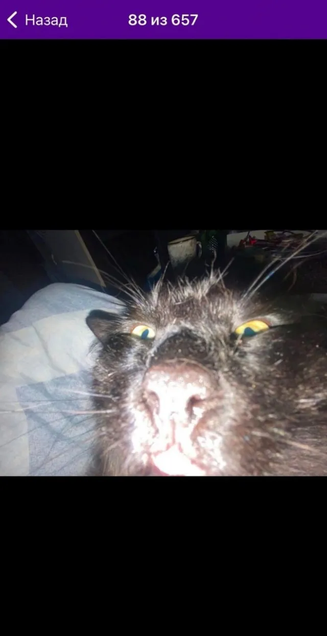 Отзывы говорят сами за себя