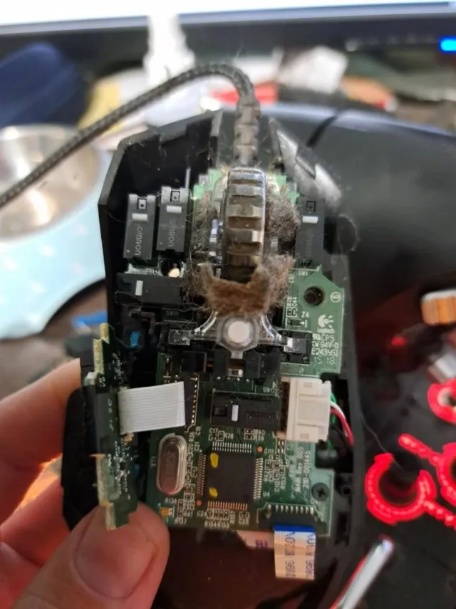 Он ни в чём не виноват!