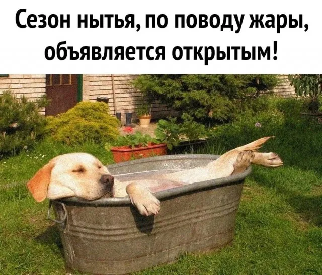 Чуток картинок