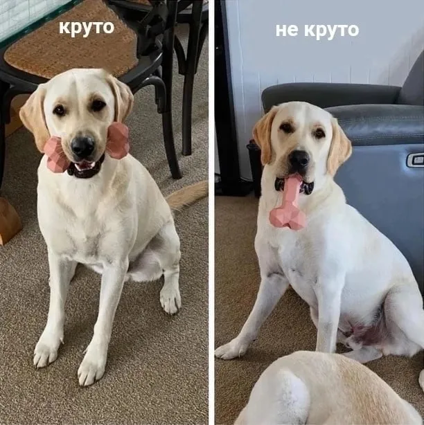 Нестандартный юмор :)