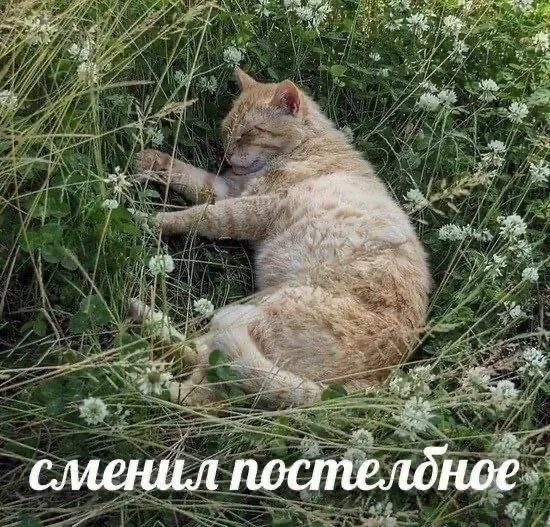 Нестандартный юмор :)