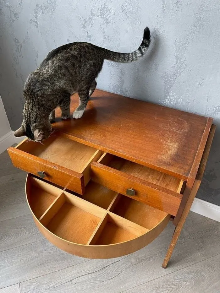 17 настоящих сокровищ, которые неожиданно попались людям в комиссионных магазинах