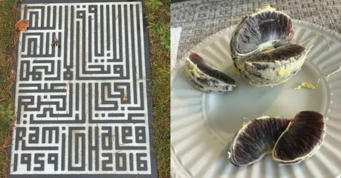 25 занятных мелочей из серии «Удивительное рядом»