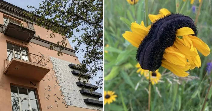 27 необычных находок и интересностей, которыми поделились пользователи сети