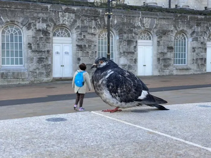 18 изображений, которые доказывают, что ракурс решает всё