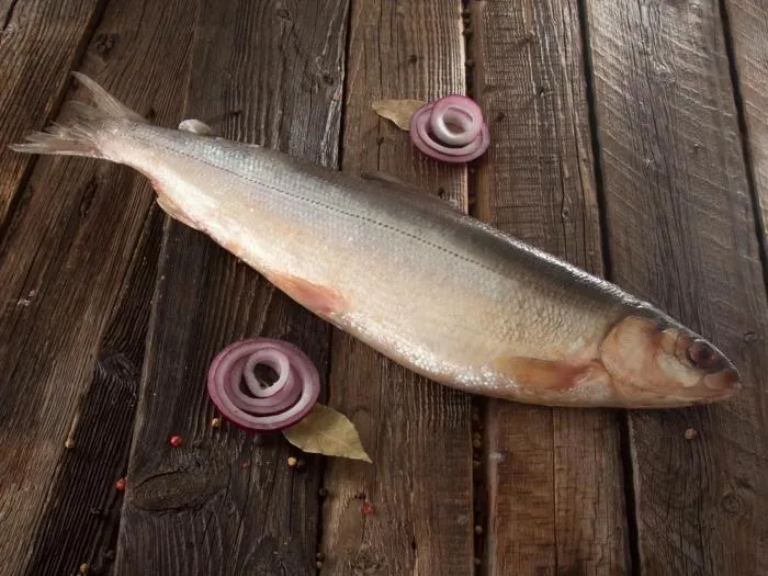 Раньше рыбий жир давали детям. Насколько он полезен на самом деле