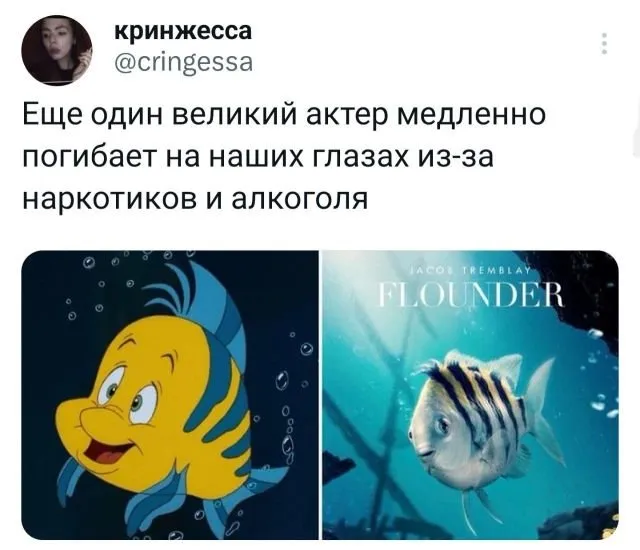 Подборка забавных твитов обо всем