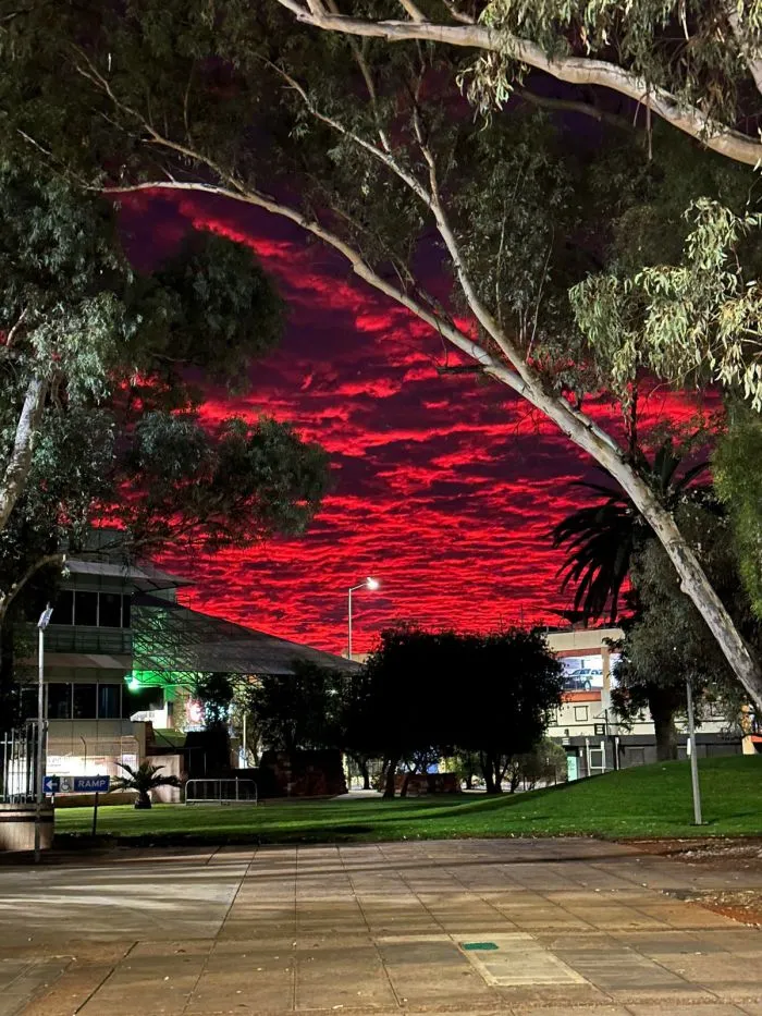 Фотоподборка