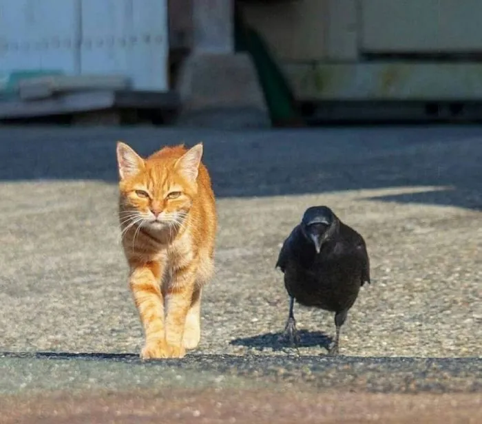 Фотоподборка