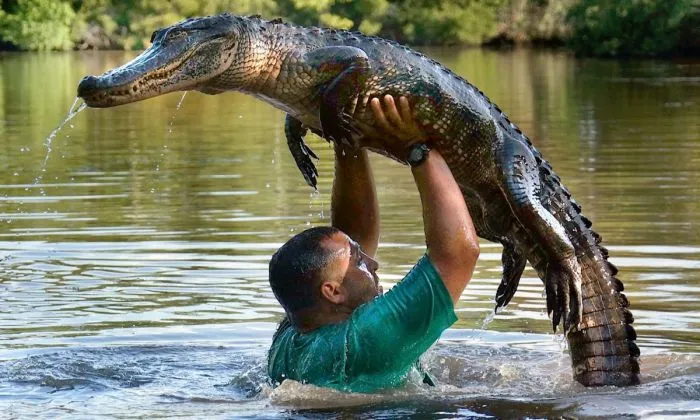 Фотоподборка