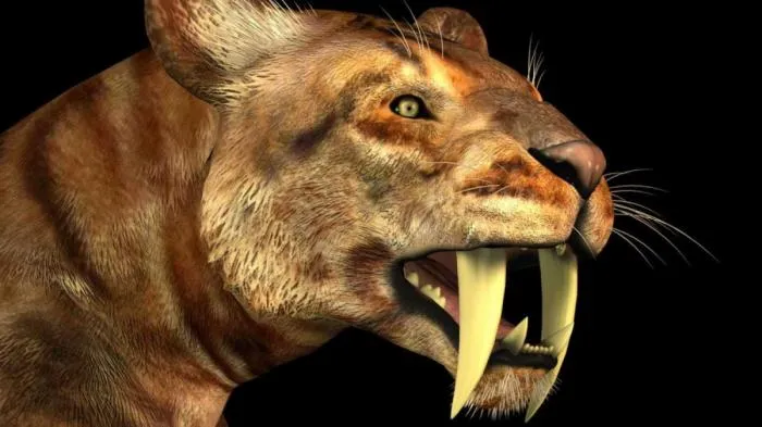 Почему саблезубые тигры вымерли, а остальные большие кошки нет