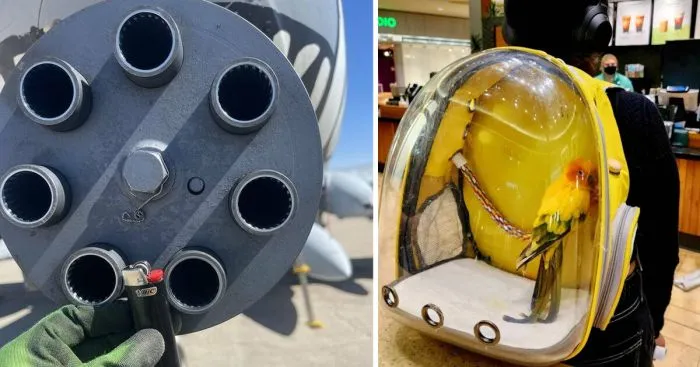 25 любопытных фото, которыми поделились пользователи сети