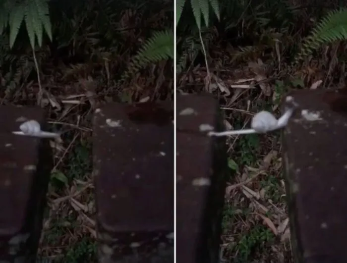 Настойчивость и ещё раз настойчивость... и ещё раз