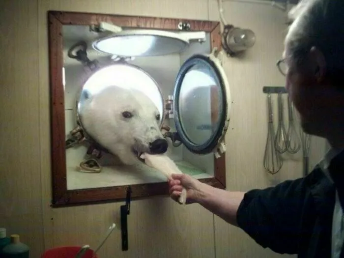 15 интересных снимков, которые показывают, с чем люди сталкиваются на работе