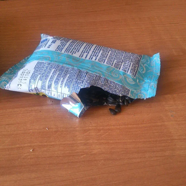 Не ПТУ, а колледж: как проходят будни в шараге