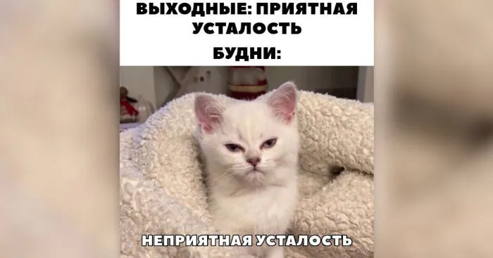 Когда лень — это не только состояние человека, но и образ жизни