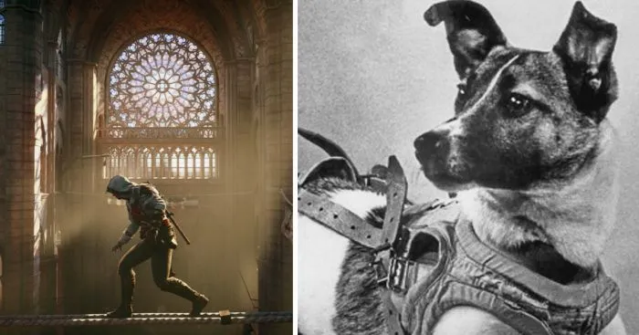 25 любопытных фактов из серии «Сегодня я узнал»