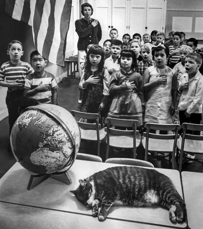 25 любопытных фактов из серии «Сегодня я узнал»