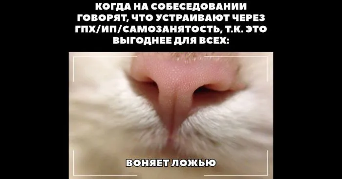 Не путайте коллег с друзьями, а начальника с заботливым родителем