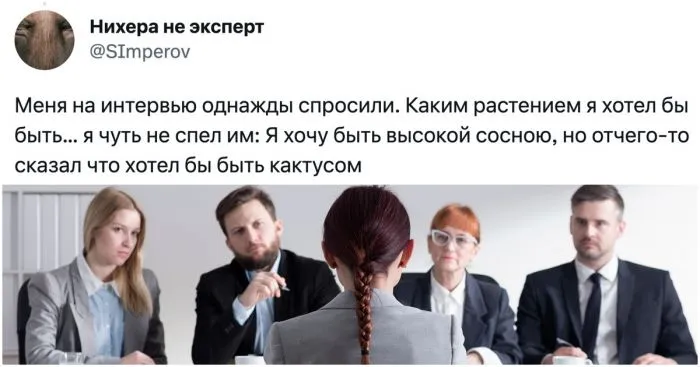 Пользователи рассказали, через что они прошли на собеседованиях