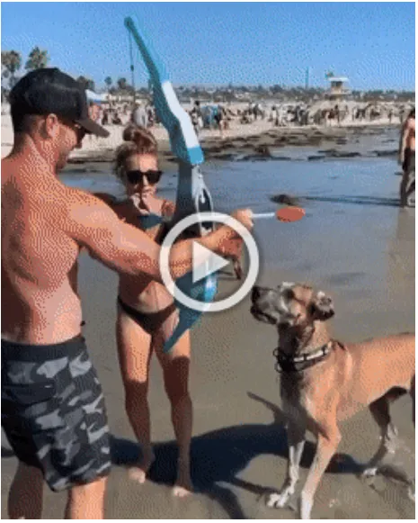 Просто гифки