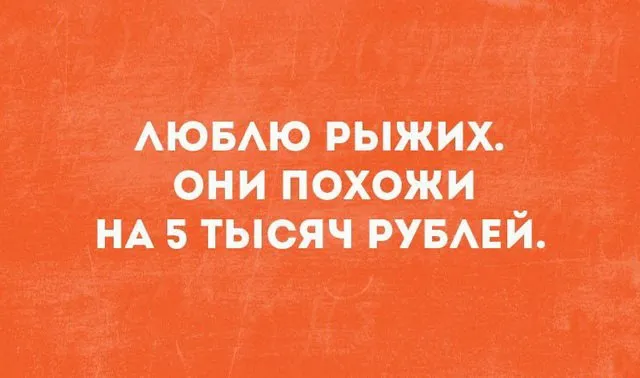 На Распоротом Брюхе Солнечный Зайчик.... КОРОЧЕ, Всё вперемешку.