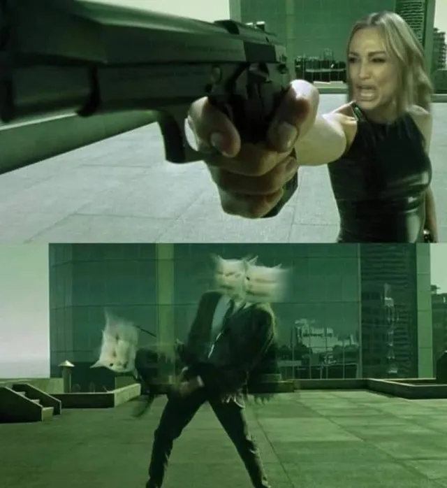 Картинки и мемы