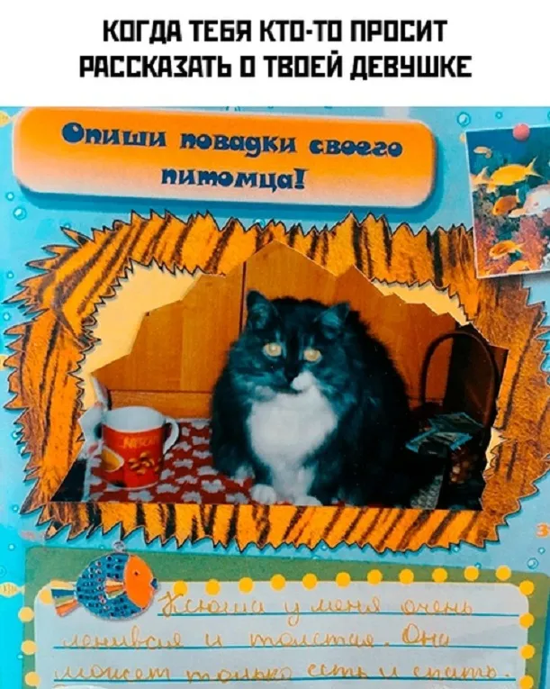 Картинки и мемы