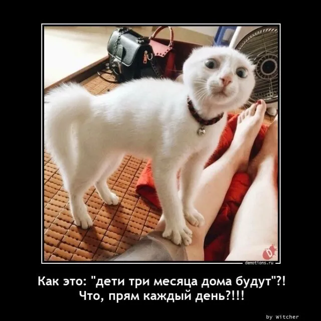 Картинки с надписями