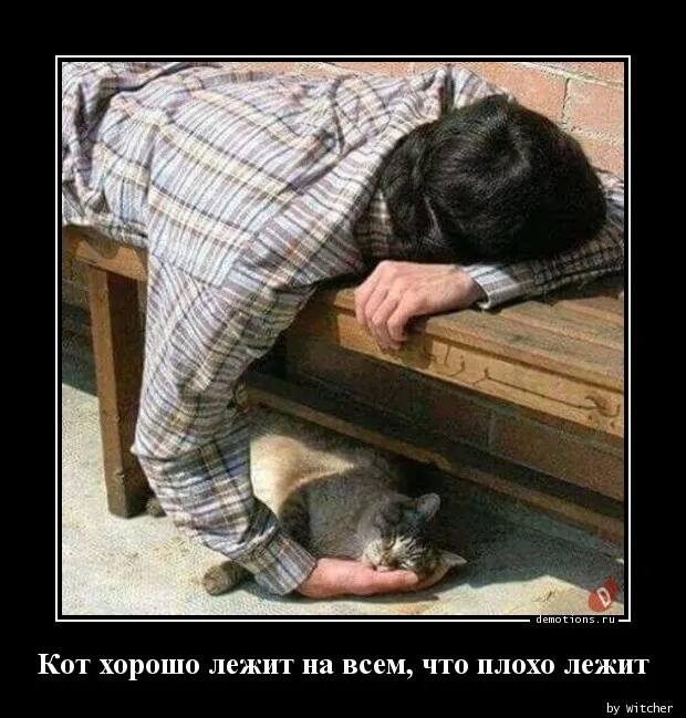 Картинки с надписями