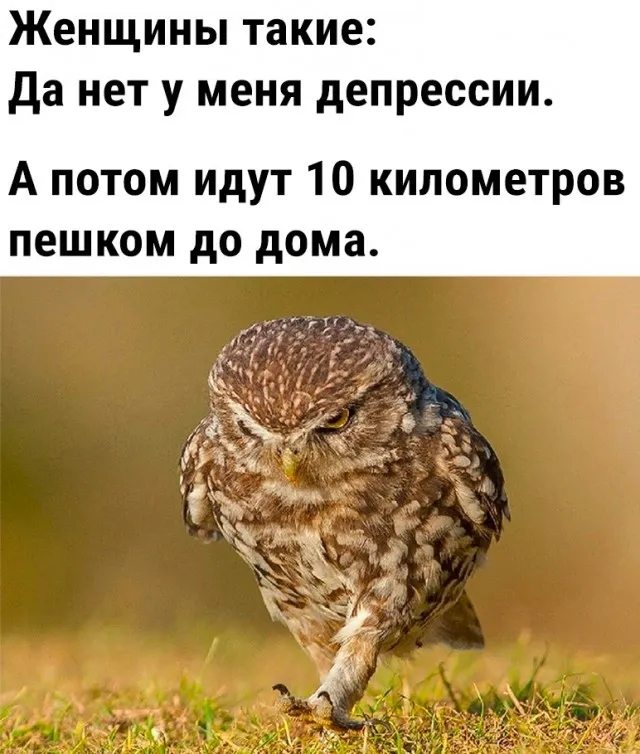 Так себе картинки