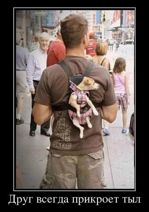 Картинки с надписями