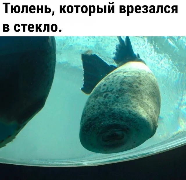 Так себе картинки