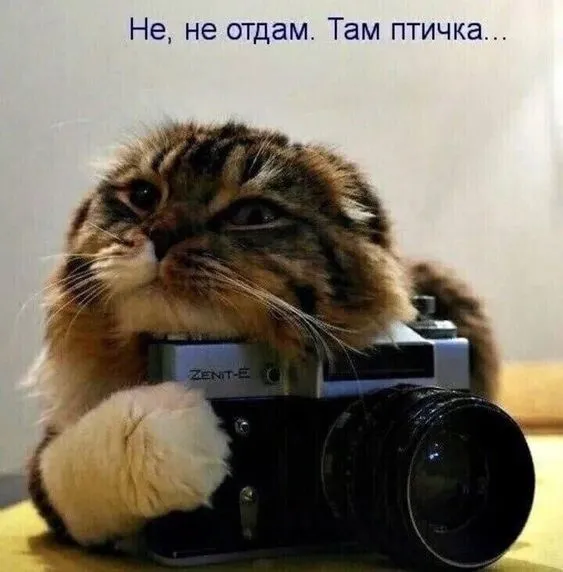 Так себе картинки