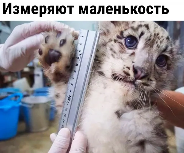 Так себе картинки