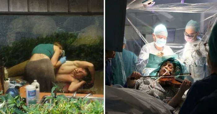 Случайный Ренессанс: 27 фото, похожих на картины эпохи Возрождения