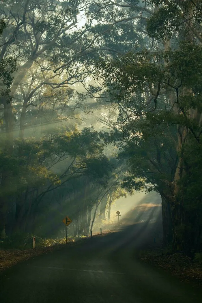 Случайный Ренессанс: 27 фото, похожих на картины эпохи Возрождения