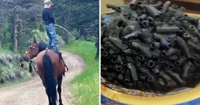 17 выходок детей, которые заставили родителей знатно похохотать