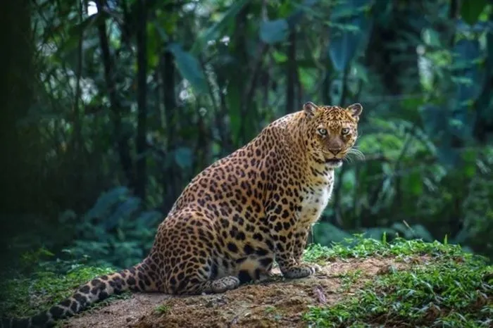Мамаши-няши накануне вступления в должность
