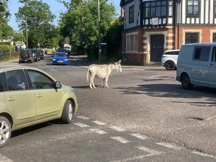 Фотоподборка