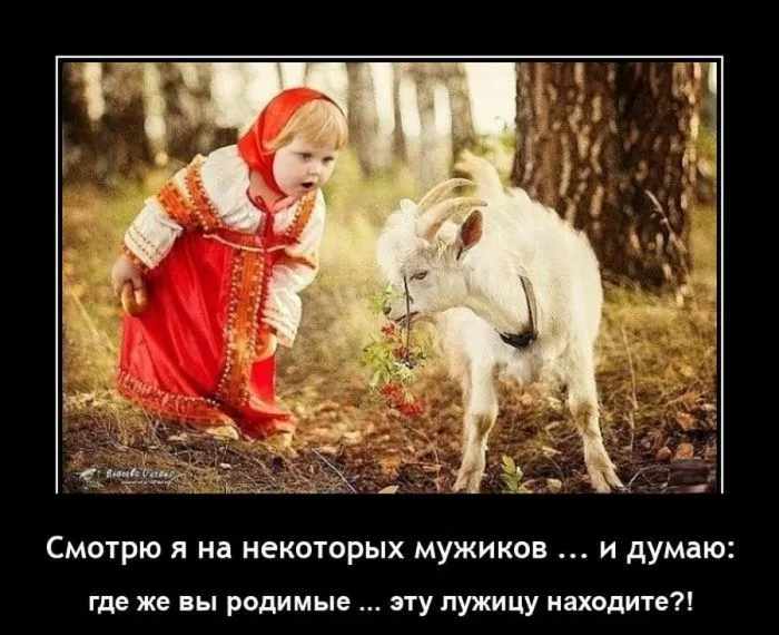 Демотиваторы