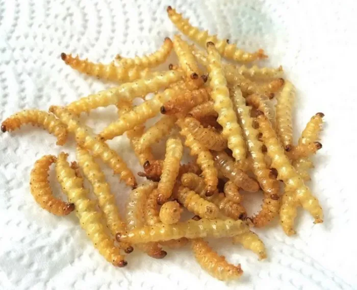 Вкусные тайские насекомые