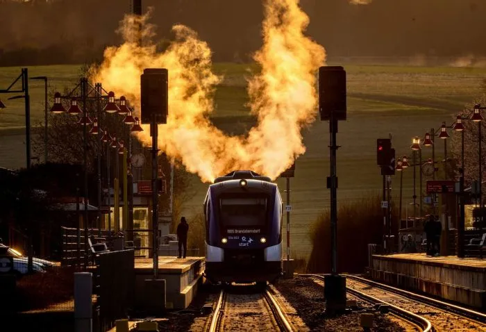 Фотоподборка