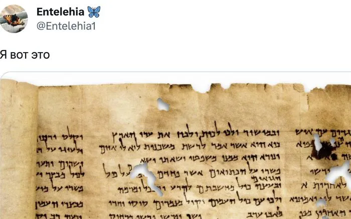 Люди разных профессий поделились, что бесполезного благодаря образованию они теперь умеют