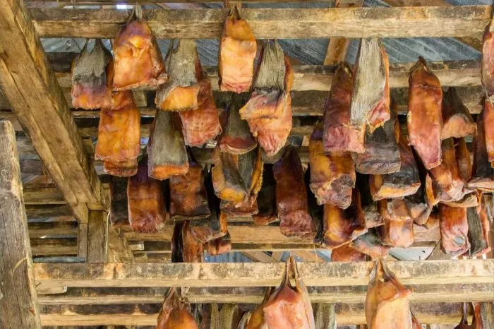 Сколько людей погибло, пока ее готовили? Хаукартль - странная еда викингов