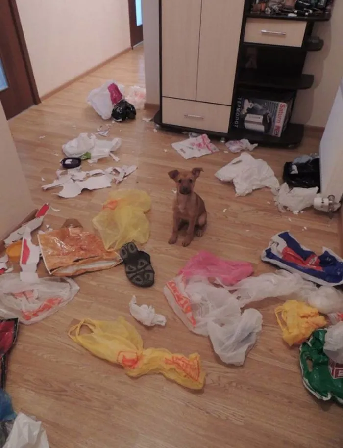 13 девушек, у которых был худший день