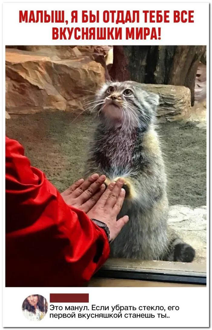 Скрины из соцсетей