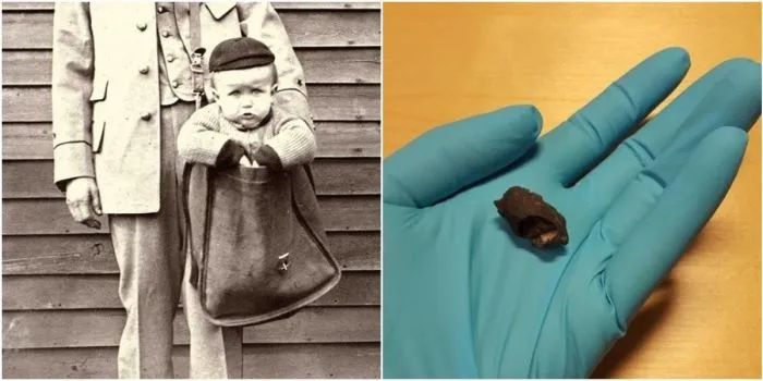 30 увлекательных фактов из разных сфер нашей жизни