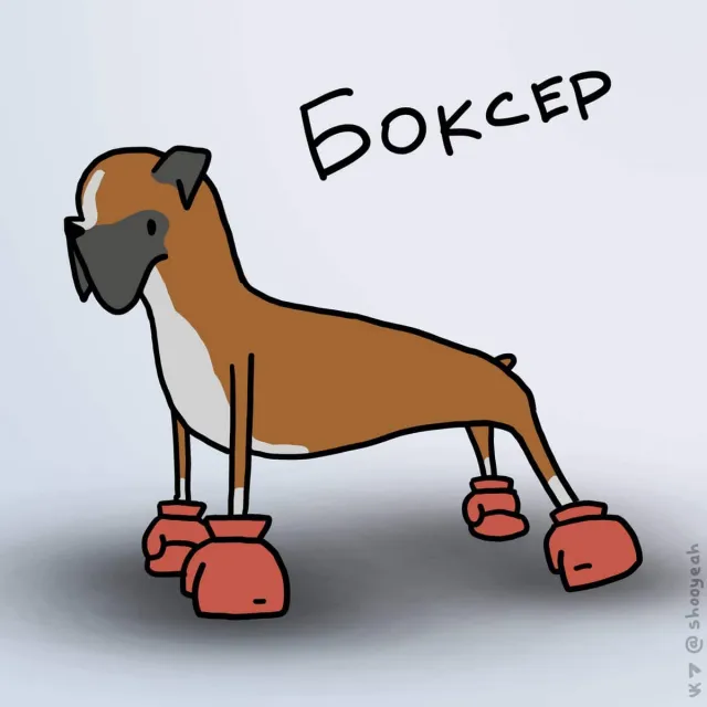 Художник забавно изобразил собак, забавно обыгрывая их внешние особенности и названия пород